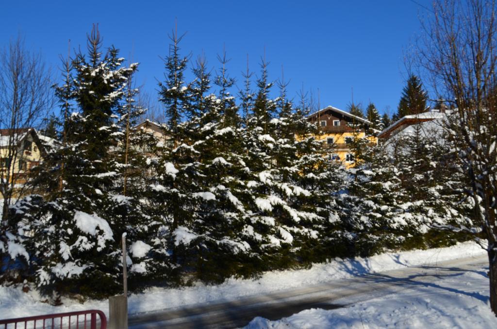 Alpengasthof Dollerhof Hotel Abtenau Kültér fotó