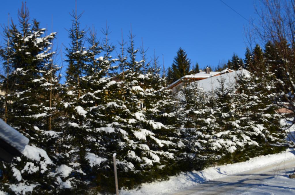 Alpengasthof Dollerhof Hotel Abtenau Kültér fotó